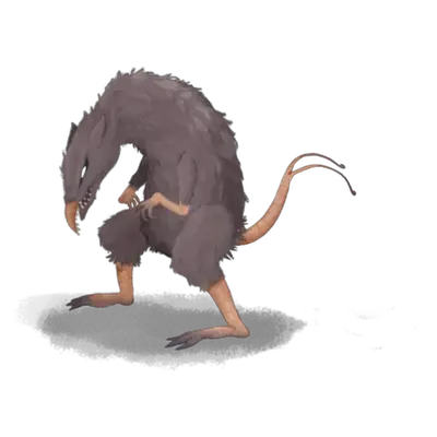 Two-Tailed Rat